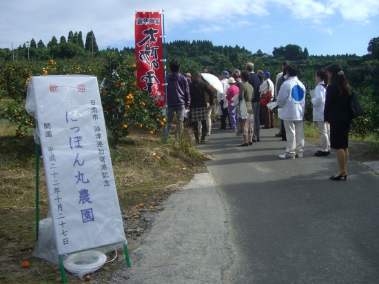 今回のにっぽん丸農園はみかん。