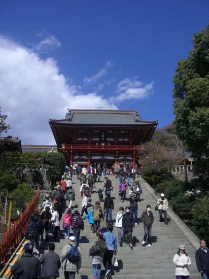 鶴岡八幡宮。参拝者が大勢来ています。