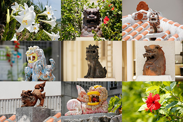 01okinawa_shisa