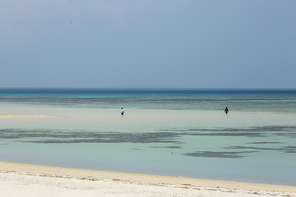03_D3_4972raw