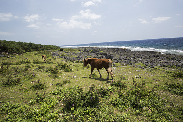 05_D3_3853raw