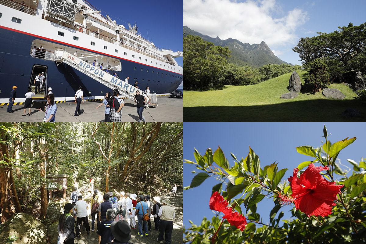 05Yakushima_nipponmaru02