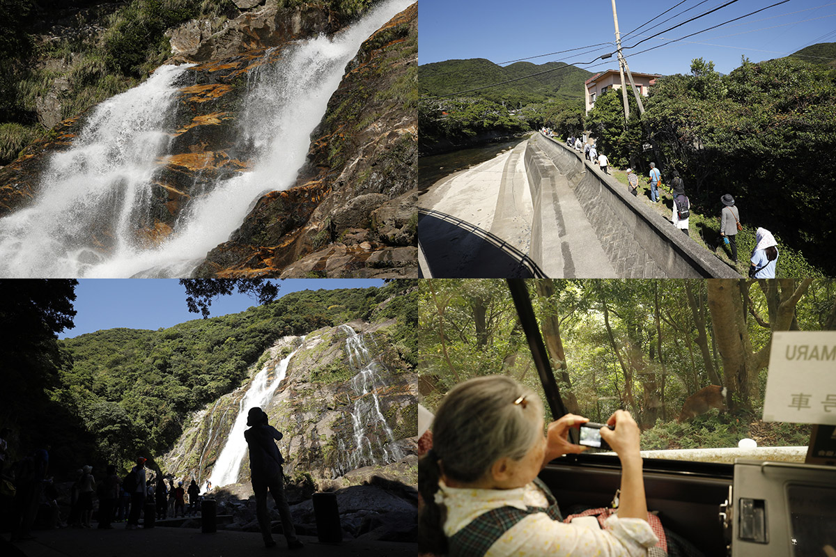 08yakushima_nipponmaru03